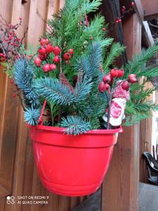 Φωτογραφία από το άλμπουμ του Pension Fanlor σε Zubčická Lhotka