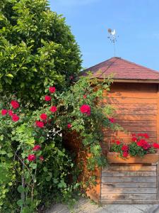 Zahrada ubytování Apartments Žnidar