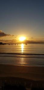 Naturlandskabet i nærheden af lejligheden