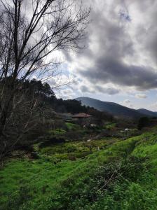 加塔Gata Maitea- Apartamento Aita- Sierra Gata的一片绿地,远处有房子