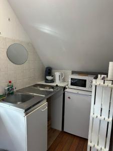 een kleine keuken met een spoelbak en een magnetron bij Studio Bd Béranger centre de Tours in Tours