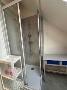 een kleine badkamer met douche en wastafel bij Studio Bd Béranger centre de Tours in Tours