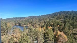 Φυσικό τοπίο κοντά σε αυτό το διαμέρισμα