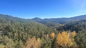 Φυσικό τοπίο κοντά σε αυτό το διαμέρισμα +3 φωτογραφίες