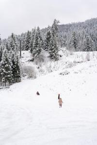 Το Malino Resort & Residences - Chalets τον χειμώνα +71 φωτογραφίες