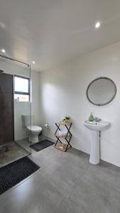 a bathroom with a sink and a toilet and a mirror at Izinga Game Karoo Guest Farm in Philipstown