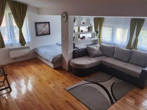 科帕奥尼克APARTMENTS FOKA & SPA - 600m from Gondola ski lift的带沙发和床的客厅 更多73张照片