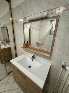 ein Badezimmer mit einem weißen Waschbecken und einem Spiegel in der Unterkunft Beauséjour in Saint-Herblain