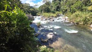 Příroda nedaleko apartmánu