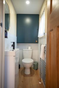 ein kleines Badezimmer mit Toilette und Waschbecken in der Unterkunft Friels Fairy Tree Hawthorn lodge in Swatragh