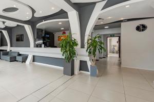 ヴィラ・カルロス・パスにあるHotel El Condadoの鉢植えの店ロビー +141枚の写真