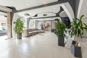 ヴィラ・カルロス・パスにあるHotel El Condadoのソファと鉢植えの植物があるロビー