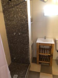 a bathroom with a shower and a sink at Casa Titi in Arroyo de Los Patos