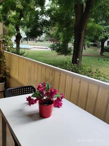 Κήπος έξω από το Chambre tout confort dans logement proche de la gare +16 φωτογραφίες