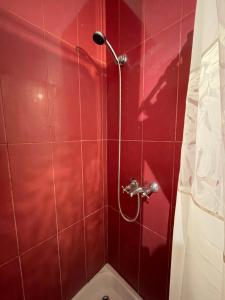 a bathroom with a red tiled shower with a toilet at Art house Charcas in Buenos Aires +39 photos