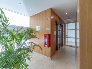 an elevator in an office building with a palm plant at Akicity Jamor Lyra in Cruz Quebrada