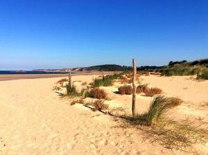 una cerca en la arena en una playa en 104 - Studio, dans une résidence les pieds dans l'eau à Sables D'or Les Pins, en Sables-dʼOr-les-Pins