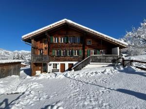 a wooden house with snow on the ground at Alpenchalet Haldeli in Gstaad in Gstaad