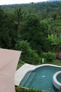a swimming pool in the middle of a forest at KA MANIcamp in Angsri