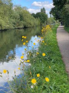Příroda nedaleko ubytování v soukromí