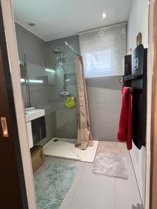 Et badeværelse på Studio la magie de Noël + 4 billeder