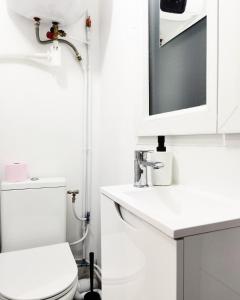 a bathroom with a toilet and a sink and a mirror at Studio Near Metro & Marais & Hotel de Ville & Seine in Paris +11 photos