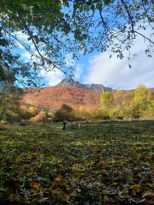 Φυσικό τοπίο κοντά σε αυτό το κάμπινγκ