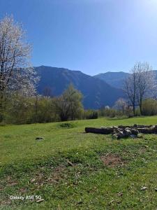 Φυσικό τοπίο κοντά σε αυτό το κάμπινγκ