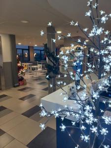 Foto sihtkohas Thionville asuva majutusasutuse Première Classe Thionville galeriist