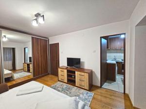 Ένα ή περισσότερα κρεβάτια σε δωμάτιο στο Studio E4 Craiova