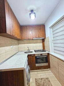 Η κουζίνα ή μικρή κουζίνα στο Studio E4 Craiova +12 φωτογραφίες