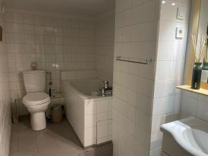 Ένα μπάνιο στο Studio avec Sauna secteur Centre Ville +1 φωτογραφίες