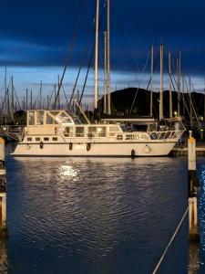 Příroda nedaleko ubytování na lodi