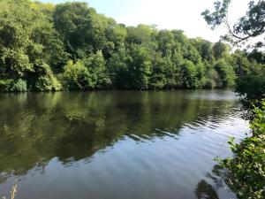 Příroda nedaleko bed and breakfast