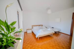 En eller flere senge i et værelse på Dimora del 700' + 32 billeder