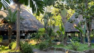 Κήπος έξω από το KenRock