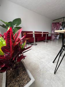 Ảnh trong thư viện ảnh của Epifania hostel ở Cali