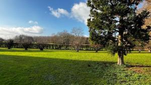A garden outside Havre de Paix - Séjour familial en pleine nature