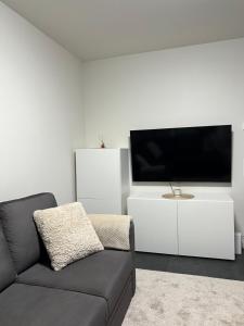 Μια τηλεόραση ή/και κέντρο ψυχαγωγίας στο Aurora Chalet with Sauna