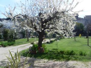 Κήπος έξω από το Chambre Orchidée Chez Mamé Marthe