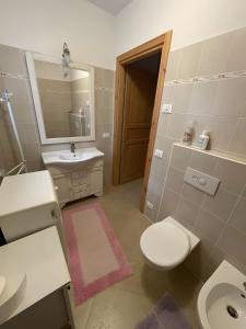 un bagno con lavandino, WC e specchio di Tabià Padola a Comèlico Superiore