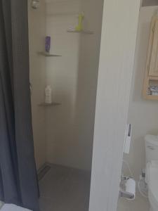 a bathroom with a shower with a toilet and shelves at Cozy 2-Bed Guest Room Convenient Location in Tracy +4 photos
