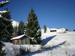 a wooden shack in the snow with a pine tree at Studio central au Praz de Lys, 4 pers, proche pistes - FR-1-815-18 in Le Praz de Lys