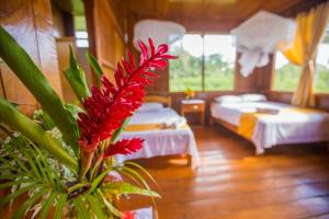 a hotel room with two beds and a red flower at Monte Amazonico Lodge in Tambopata