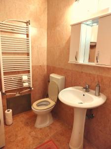 a bathroom with a toilet and a sink and a mirror at Central Pristina Park-Side Home in Pristina