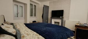 a bedroom with a bed and a fireplace and a tv at Studio Confort Niort in Niort