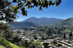 a view of a town with mountains in the background at Cool and Classy Steps to Downtown in San Anselmo