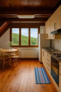 Køkken eller tekøkken på Vielha Premium Duplex Mountain Views Sleeps 6