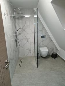 een badkamer met douche en toilet bij Vila Timeea in Statjunea Borsa +48 foto's