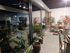 een kamer gevuld met veel potplanten bij Vila Timeea in Statjunea Borsa